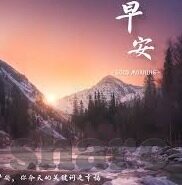 高清无码一区二区在线观看-高清无码一区二区在线观看，网络时代下的内容选择与伦理考量