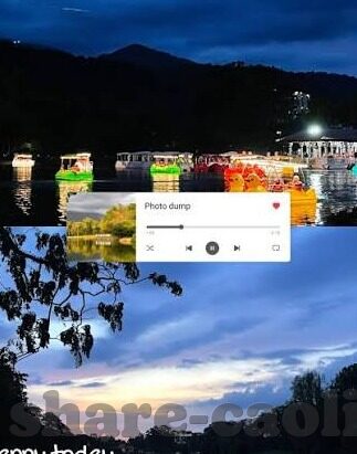 糖心app收费-审视糖心app收费现象,网络服务的时代变迁与用户需求的细腻考量